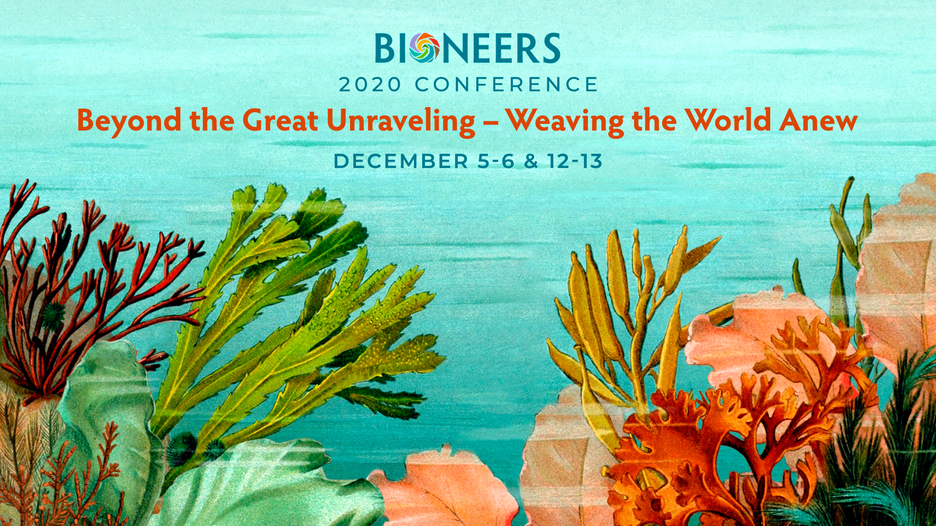 Bioneers 2019 Conference - Seeding the Field: Growing Transformative Movements